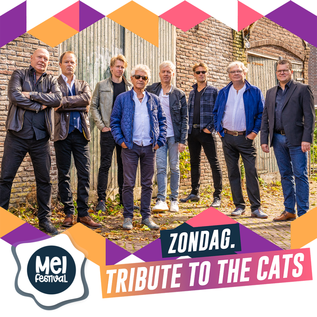 Tribute To The Cats